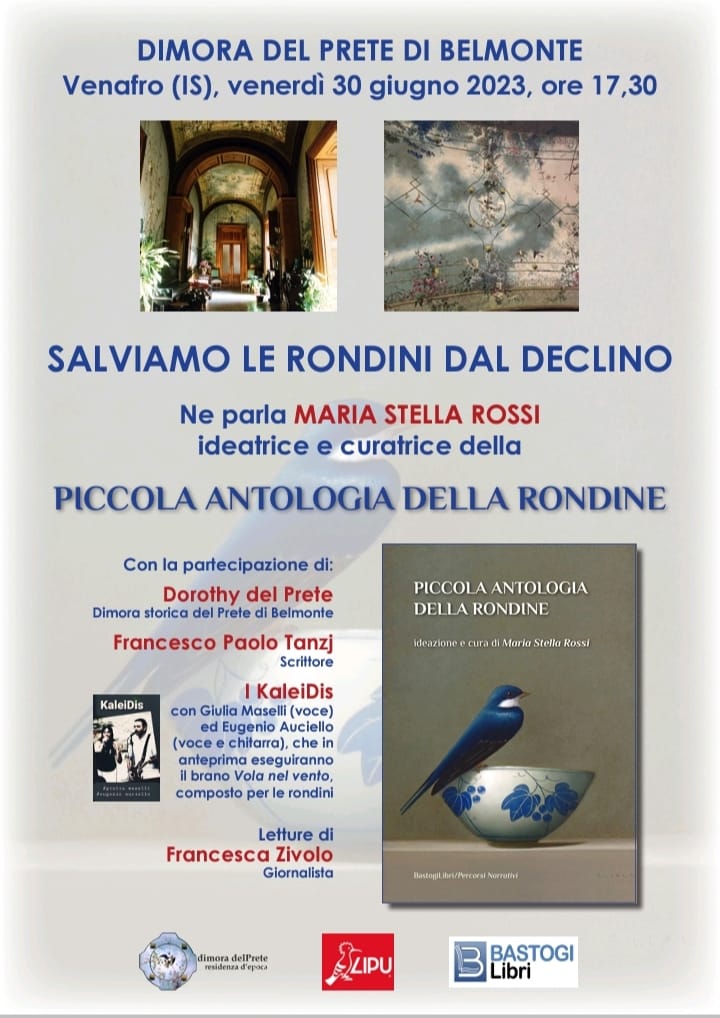 La Piccola antologia della rondine- BastogiLibri, ideata e curata da Maria Stella Rossi, sottolinea il valore ineliminabile della natura e della stessa vita delle rondini, resa sempre più difficile e precaria dalle scelte scellerate e distruttrici di una economia imperante, in ogni dove, che ha fede solo nel denaro e in suo nome danneggia e rapina le risorse di questa nostra Terra. Il ricavato va alla Lipu nazionale, storica e nota Associazione da sempre attiva in difesa di uccelli e dell'ambiente, che collabora a questo libro e alla sua diffusione. Il 30 giugno, nel Palazzo storico e artistico del Prete di Belmonte in Venafro, Maria Stella Rossi, con Dorothy del Prete, saggia proprietaria della Dimora storica, con lo scrittore Francesco Paolo Tanzj, con la partecipazione dei KaleiDis, Giulia Maselli- voce- e Eugenio Auciello voce e chitarra, e di Francesco Zivolo, giornalista, che leggerà brani della Piccola antologia della Rondine, parleranno del mondo della rondine e della necessità di porre attenzione, salvezza e cura verso di loro che lo scrittore Lorenzo Marone chiama “ le piccole vite”. Dalla quarta di copertina riprendiamo questo testo “La Piccola antologia della Rondine è il segno tangibile di un forte sentimento amorevole e salvifico raccontato da trenta scrittori, poeti, ambientalisti, artisti, uniti "nel segno della Rondine”. Da vari decenni queste amabili creature di voli e di viaggi sono minacciate dai cambiamenti climatici, dall’uso dannoso di pesticidi e dalla mano dell’uomo che spesso distrugge nidi ed habitat. Vogliamo credere che siamo in tempo per impegnarci tutti insieme a salvaguardare le rondini per poter aspettare ogni primavera il loro ritorno e festeggiarle perché il loro minuscolo cuore di un grammo e mezzo possa continuare a battere”. E così la frase ormai nota a tutti che cita " la bellezza salverà il mondo" è ora di cambiarla in "il mondo salvi la bellezza", in questo desiderio salvifico anche le rondini potrebbero ritrovare vita, voli e battiti che non dobbiamo spegnere per sempre!