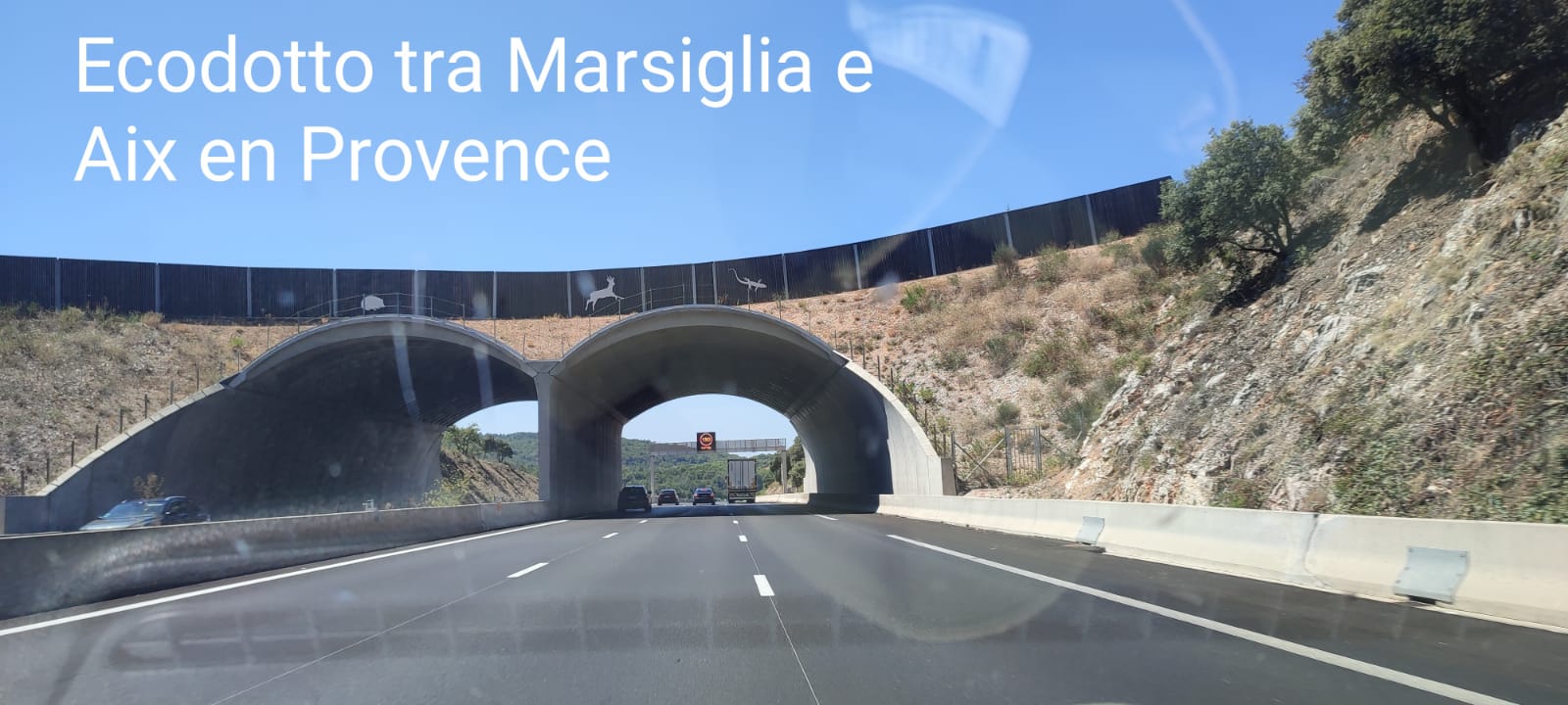 Orso Juan Carrito, la denuncia di Augusto De Sanctis: "Nessuna messa in sicurezza per i plantigradi sulla statale 17"