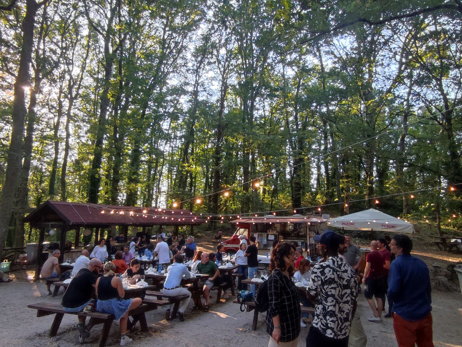 Calici nel Bosco – 3° edizione  Serata di degustazione guidata di vini  con abbinamenti 
