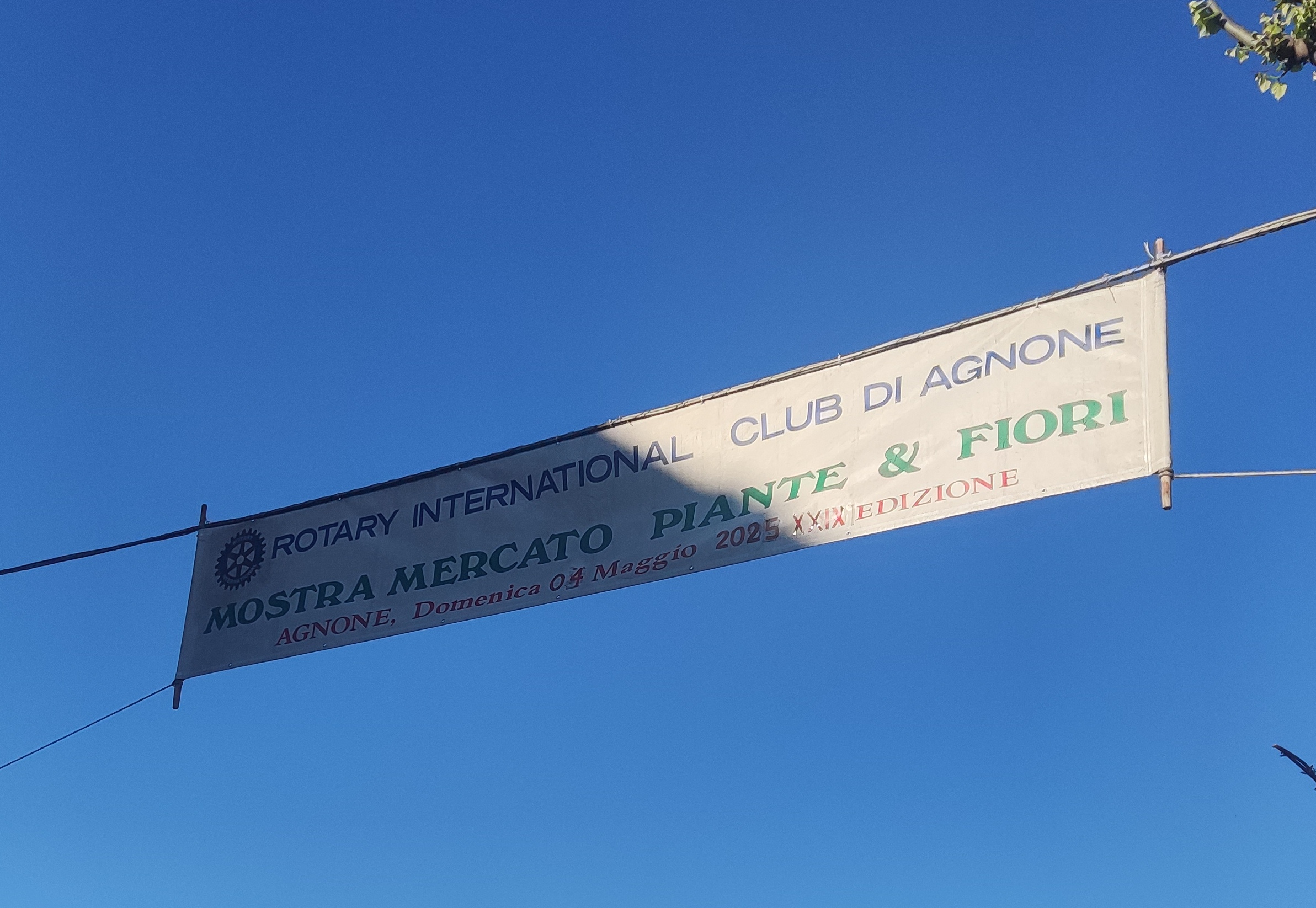 XXIX^ Festa dei Fiori, il Rotary Club saluta così l'arrivo della primavera: domenica 4 maggio