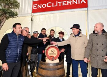 Enocliternia 2026, il vino motore di sviluppo: il 21 novembre torna a Nuova Cliternia