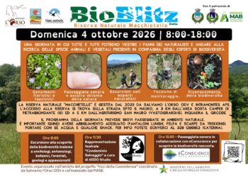 Torna il Bioblitz in Alto Molise: domenica 4 ottobre una giornata alla scoperta della biodiversità nella Riserva Naturale Macchietelle