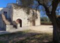 Venafro, riapre la Sala Panel dell’olio: inaugurazione e convegno dedicato al legame tra olio e territorio