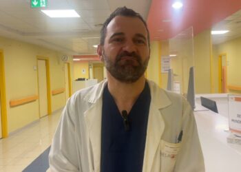 Dalle aree cerebrali alle reti di connessioni, due studi Neuromed tracciano una mappa più precisa delle funzioni del cervello