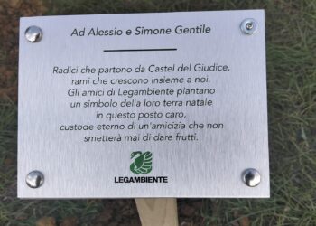 Castel del Giudice, Alessio e Simone radici d’amore che continueranno a dare frutti: due meli per custodire la loro memoria