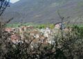 Orso in casa a Villavallelonga, il Parco condannato a risarcire una famiglia con oltre 200mila euro