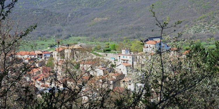 Orso in casa a Villavallelonga, il Parco condannato a risarcire una famiglia con oltre 200mila euro
